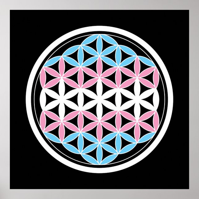 tranSacred geometry Poster (Front)