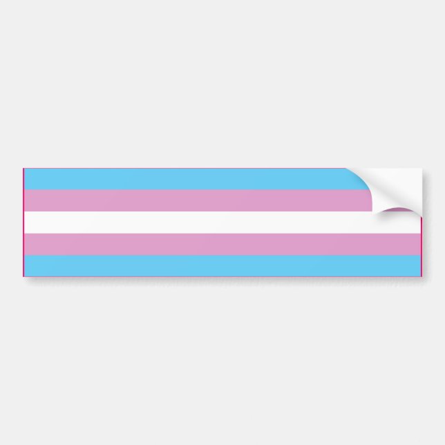 TRANSEXUAL PRIDE FLAG BAR BUMPER STICKER (Front)