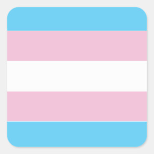 Transexual Pride Flag Square Sticker