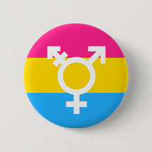 Transgender and Pan Pride Flag Button