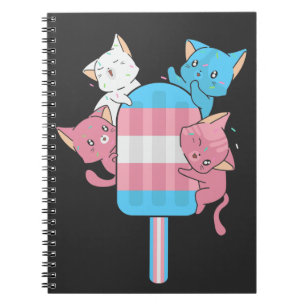 Transgender Flag Cats and a Popsicle Notebook