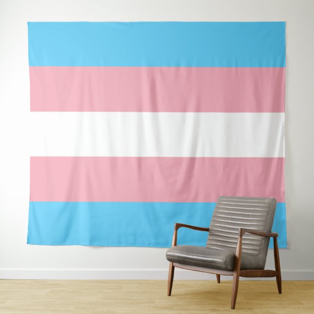 Transgender Flag Extra Large Tapestry (In Situ (Horizontal))