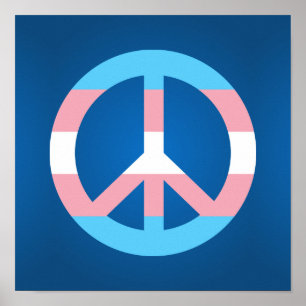 Transgender flag peace sign poster
