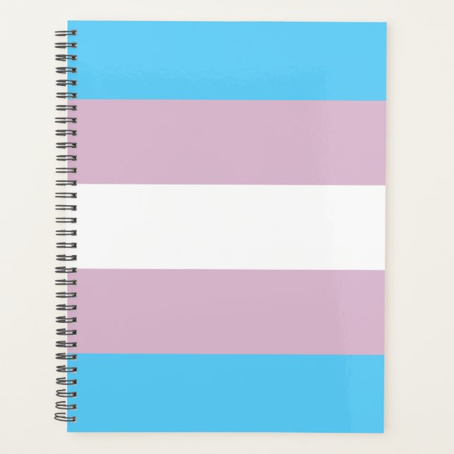 Transgender Flag Planner (Front)