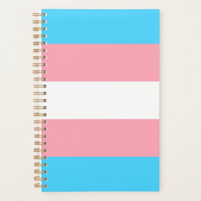Transgender Flag Planner (Front)