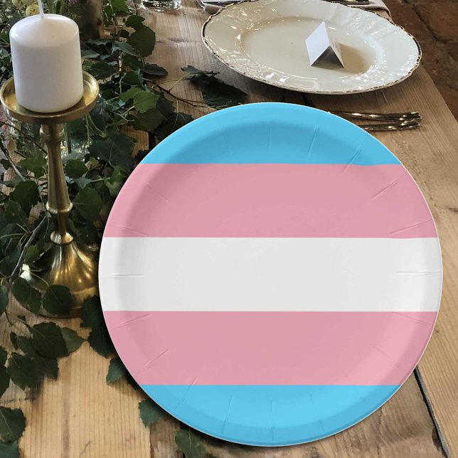 Transgender Flag plates, Pride community / gender Paper Plate (Creator Uploaded)