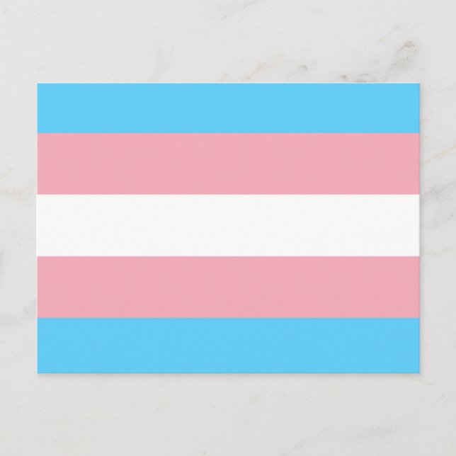 Transgender Flag Postcard (Front)