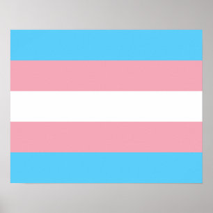 Transgender flag Poster