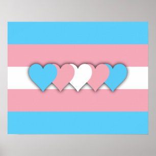 Transgender flag Poster