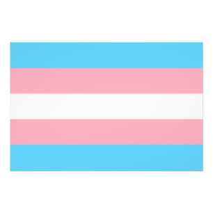 transgender flag trans lgbt lgbtq gay lesbian homo photo print