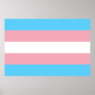Transgender flag trans pride LGBT symbol gay homos Poster