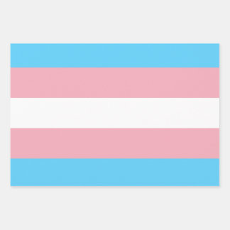 Transgender Flag Wrapping Paper Sheet