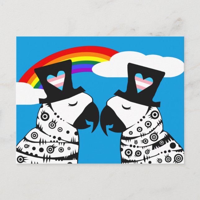Transgender Gay Parrots Couple Postcard (Front)