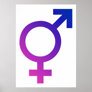 Transgender Hermaphrodite Gender Pride Symbol Poster