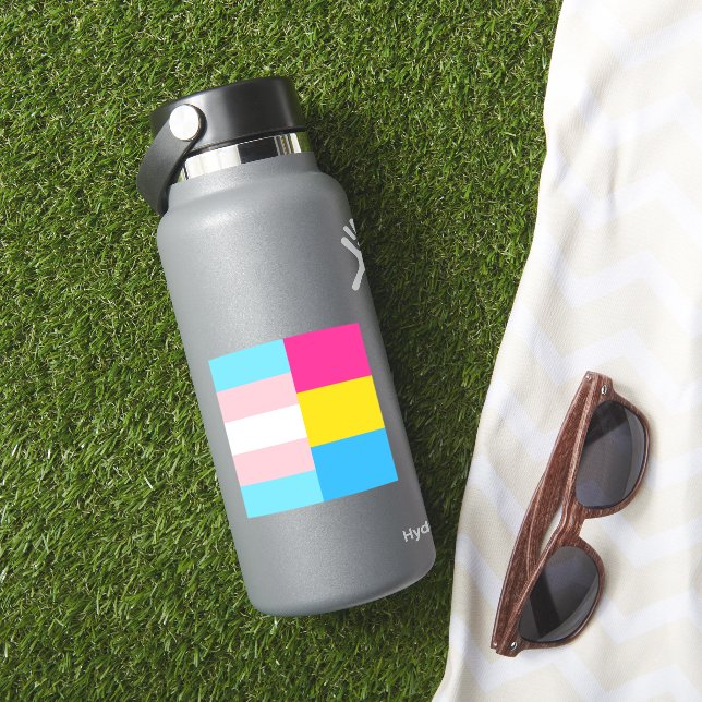 Transgender Pansexual Dual Pride Flag Laptop (HydroFlask Insitu)
