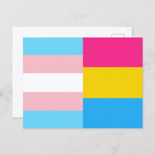 Transgender Pansexual Dual Pride Flag Postcard