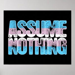 Transgender Pride Assume Nothing Poster