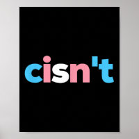 Transgender Pride Cisnt - Lgbtq Trans Flag - Funny