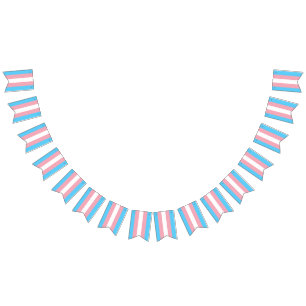 Transgender Pride Flag