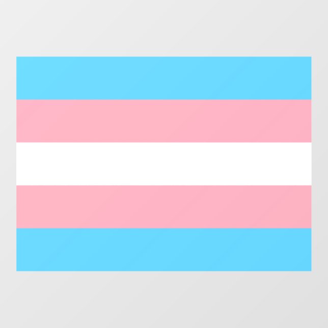 Transgender Pride Flag  (Sheet)
