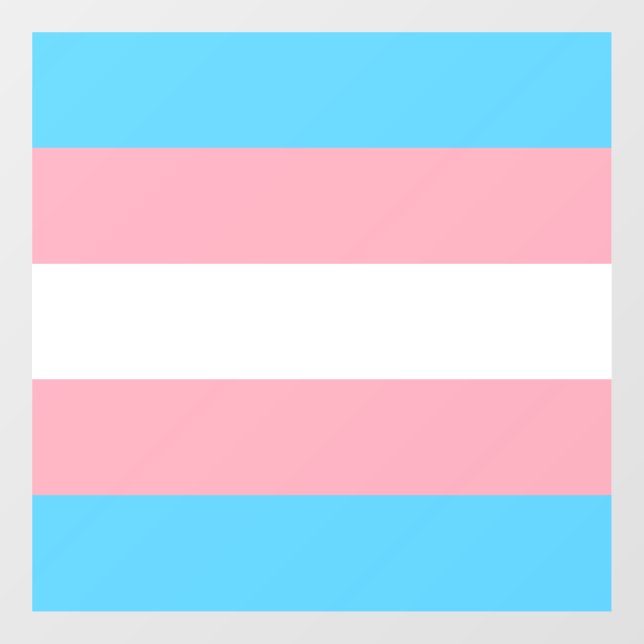 Transgender Pride Flag  (Sheet)