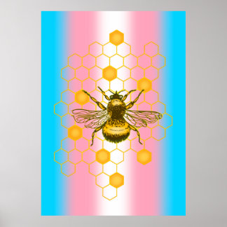 Transgender pride flag, Bee-live, Love is Love Poster