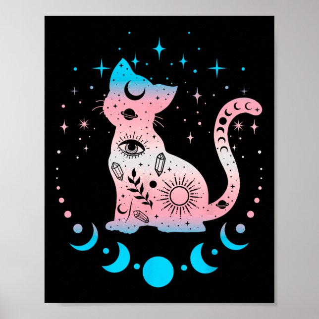 Transgender Pride Flag Colours Cat Lovers  Poster (Front)