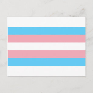 Transgender Pride Flag - LGBT Rainbow Postcard