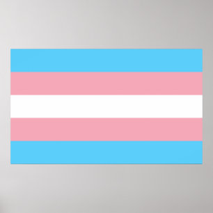 Transgender Pride Flag - LGBT Rainbow Poster