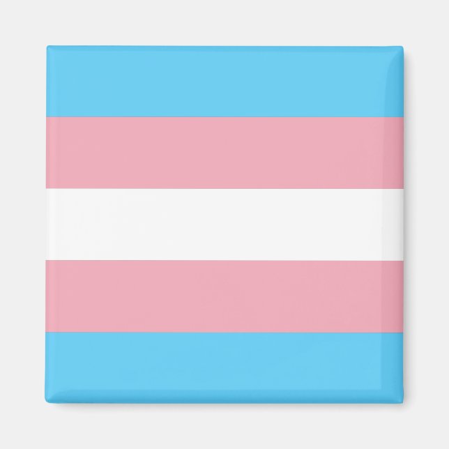 Transgender Pride Flag Magnet (Front)