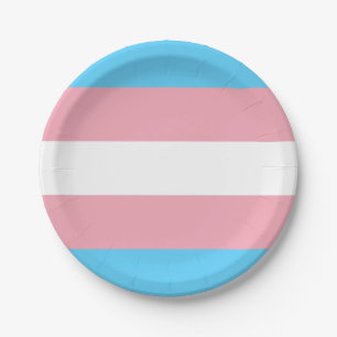 Transgender Pride Flag Paper Plate