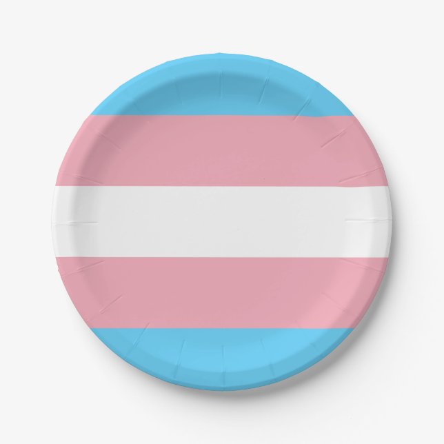 Transgender Pride Flag Paper Plate (Front)