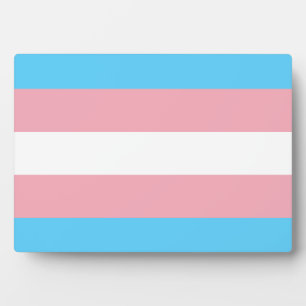 Transgender Pride Flag Plaque