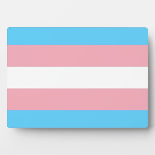 Transgender Pride Flag Plaque (Front)