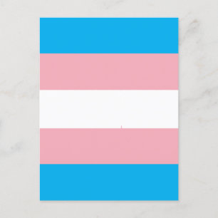 Transgender Pride Flag Postcard