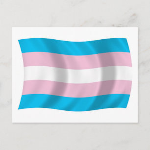 Transgender Pride Flag Postcard