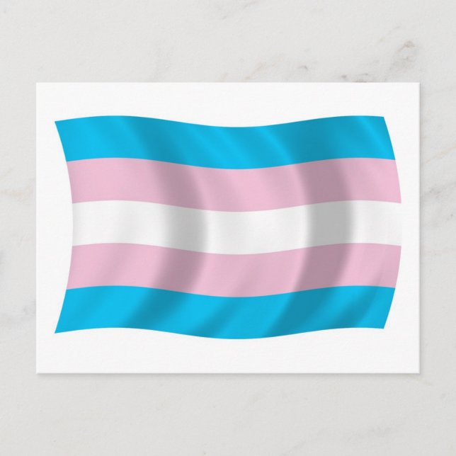 Transgender Pride Flag Postcard (Front)