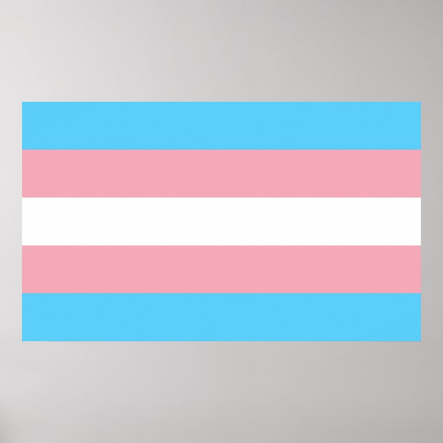 Transgender Pride Flag Poster (Front)