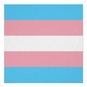 Transgender Pride Flag Poster