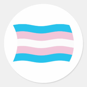Transgender Pride Flag Sticker