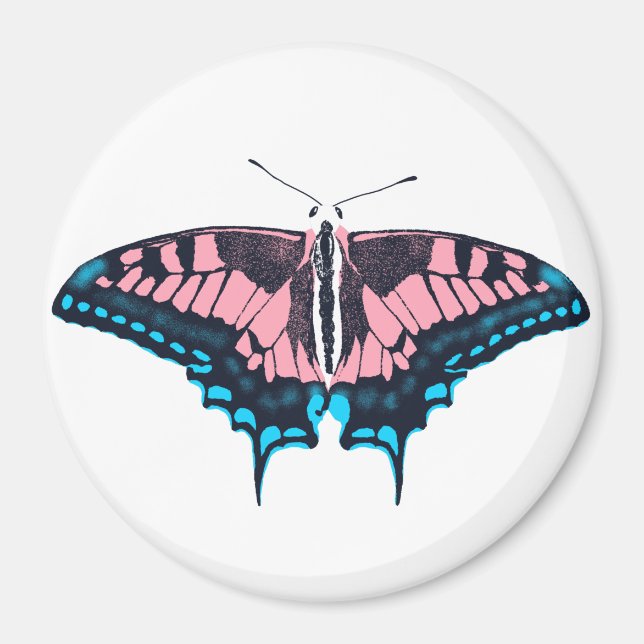 Transgender Pride Flag Swallowtail Butterfly Magnet (Front)