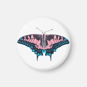 Transgender Pride Flag Swallowtail Butterfly Magnet