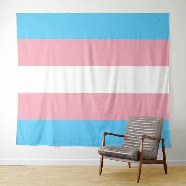 Transgender Pride Flag Tapestry (In Situ (Horizontal))