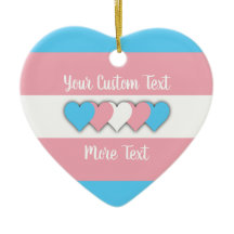 Transgender pride flag with text