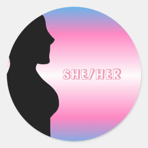 Transgender Pride MTF Stickers
