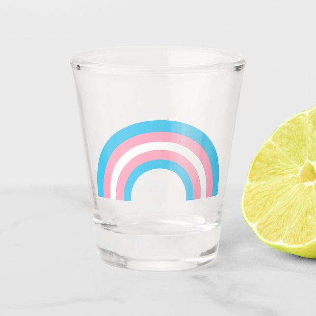 Transgender Rainbow Pride Flag Shot Glass (Front)