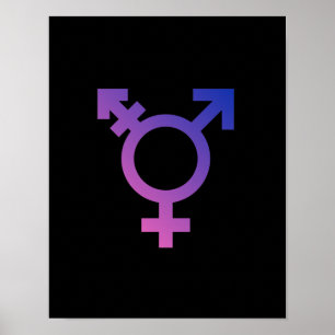 Transgender Symbol Poster