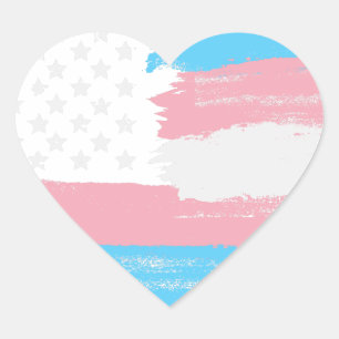Transgender USA Flag   Sticker