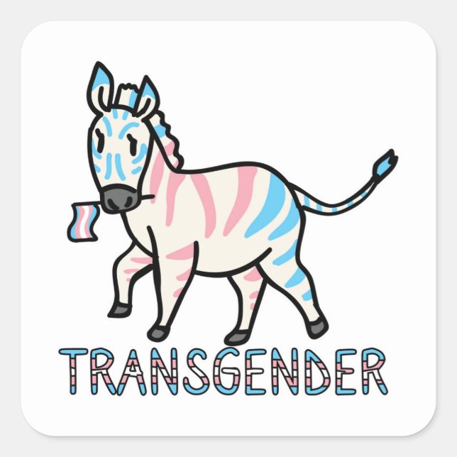 Transgender Zebra Square Sticker (Front)