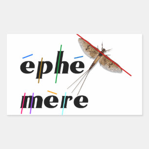 transitory instantaneous rectangular sticker